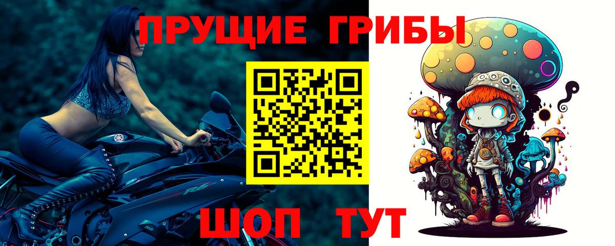 Галлюциногенные грибы Psilocybine cubensis  Галлюциногенные грибы мухоморы  Можайск  Вход с VPN 